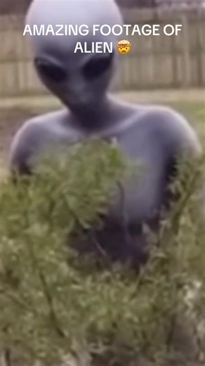 Amazing Alien Footage Captured on Camera