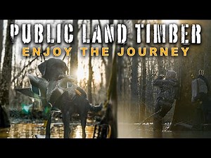 Flooded Timber Hole - The Ducks Wanted In 👀🦆 | DrDuck