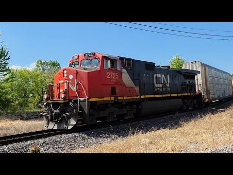 Canadian national southbound Q116 IC 2725 durand Michigan September 15 2025