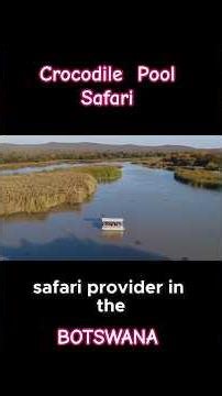 EPIC Crocodile Safari & Boat Ride in Botswana! | Vibes Africa Travel Vlog