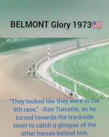 BELMONT STAKES 1973☆☆☆☆ #BelmontStakes #sport #Secretariat #horseracing #movies #legend #triplecrown #kentuckyderby #preakness #horse @follower American horseracing Legends @fan più attivi We love secretariat page. | Secretariats lagacg