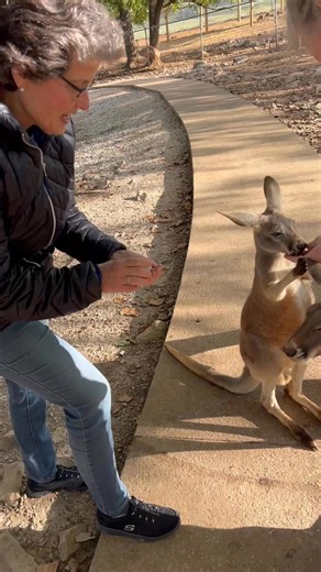 Feeding kangaroos is what we’re famous for and what an experience it is. | Kentucky Down Under Adventure Zoo
