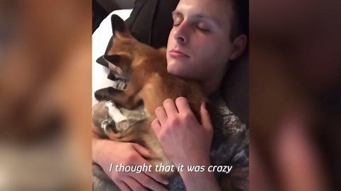 She raised a fox like her own - and would do it again in a heartbeat