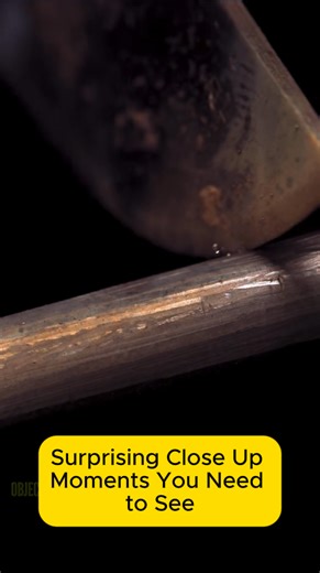 Surprising close up moments you need to see