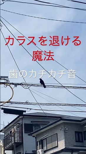 カラスを退ける魔法 誰も傷つけぬ、前代未聞の手法 鳥獣被害・ゴミステーション・カラス対策 撃退 要解説文