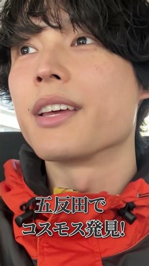 SixTONES oﬃcial【季節外れのコスモス】疑惑のこーちフォト