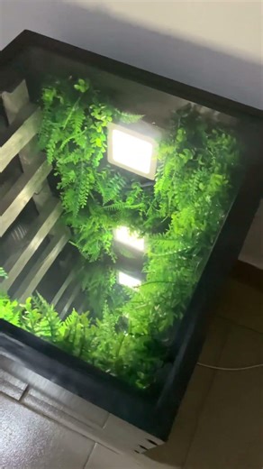 Infinity Grass Tunnel Coffee Table. #infinitycastle #viral #mid #luxurytable #coffeetable