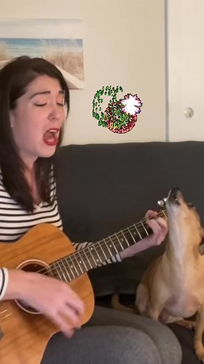 🎆 #firework #singingdog @Katy Perry | Mss Pam