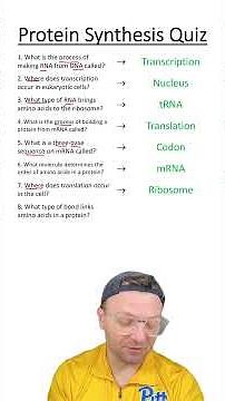 Quiz: Protein Synthesis