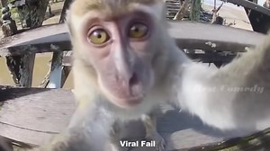 傻缺失败与成功集锦Epic Fail Win Funny Video Compilation 2015 December Fails (720p)