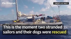 69K views · 180 reactions | Two female sailors who had been adrift in the Pacific ocean for five months were rescued by the US Navy along with their dogs. | Telegraph News | Facebook