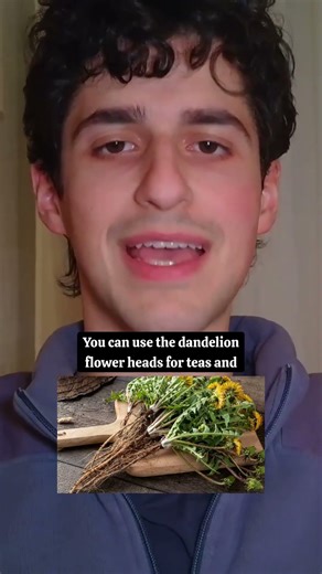 Stop spraying dandelions!