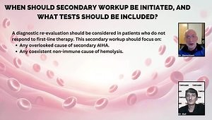 Warm Autoimmune Hemolytic Anemia: Background, Work-Up, and Prednisone Tapering Considerations