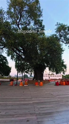 Maya Devi Temple is an ancient Buddhist Temple situated at the UNESCO World Heritage Site of Lumbini, Nepal. It is the main temple at Lumbini, a site traditionally considered the birthplace of Gautam Buddha. #gautambuddha #mayadevitemple #mayadevi #lumbini #birthplace #birthplaceofbuddha #explore #travelnepal #explorenepal #visitnepal #rupandehi #nepal #nepaltravel #foryoupage #nepal8thwonder