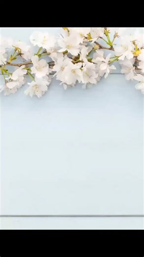 As our dear principal Ms Ayesha Sohail embarks on a new chapter of her journey, we know she carries with her not just experience, but the prayers, admiration, and heartfelt wishes of an entire school family. While her role here concludes, her legacy continues—in every confident student, every inspired teacher, and every value upheld within these walls. | Beaconhouse Girls Campus, Potohar