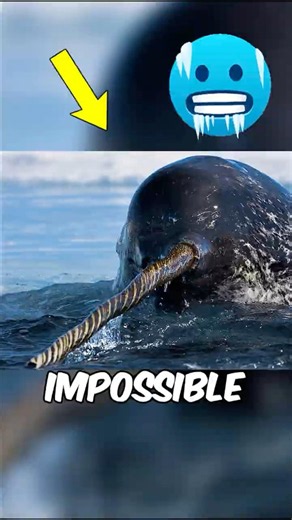 3 Animals That Break the Rules of Nature! 😱