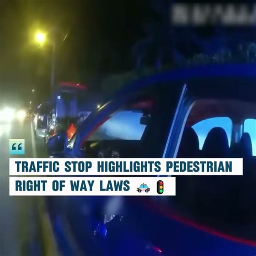 Traffic Stop Highlights Pedestrian Right of Way Laws 🚓🚦 After a vehicle failed to yield at a marked crosswalk, an officer initiated a stop that shows how traffic rules are enforced to protect pedestrians. Watch to learn why yielding laws matter and how calm communication during stops can change outcomes. #RoadSafety #TrafficLaws #PublicSafety #LegalAwareness | Anonimus