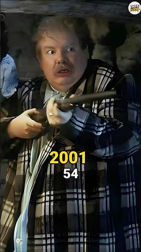 Harry Potter and the Philosopher's Stone (2001) Cast Then and Now