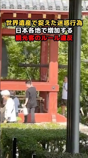 世界遺産で捉えた迷惑行為 日本各地で増加する観光客のルール違反 #トラブル #衝撃映像 #証拠撮影 #防犯カメラ #防犯カムカム