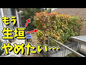 高さ5ｍを超える生垣の管理が大変だったので、管理の要らないプライベート空間にリフォームした【管理が大変だったお庭・外構をフルリフォーム＃２話】