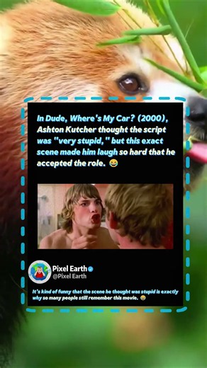 The Dumbest Scene That Convinced Ashton Kutcher! 😂 #Movies #Comedy #Cinema