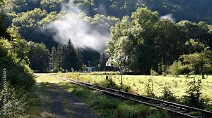 Harz narrow gauge railway, Brockenbahn, steam locomotive travelling through the Harz mountains, Saxony-Anhalt, Germany, Europe