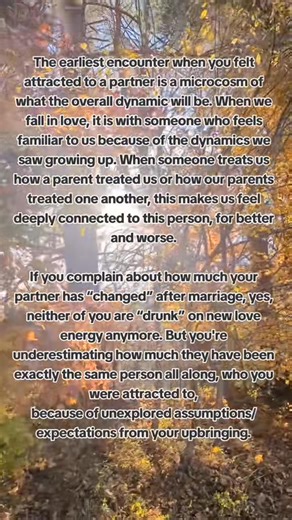 According to imago theory, which is a very useful theory to understand relationships, you are attracted to someone that feels familiar to you. When couples counseling clients describe to me the moment that they first were attracted to their spouse, this very first meeting (or often, not the first meeting itself but a later one) contains all the seeds to understand what the eventual dynamic will be! #relationships #therapy #intimacy #love #psychologist | Dr. Psych Mom