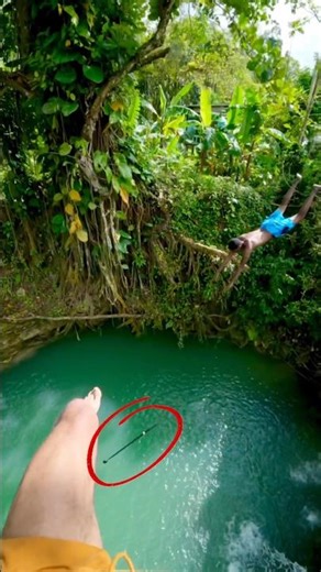 @groveswimmersTV #treejumping