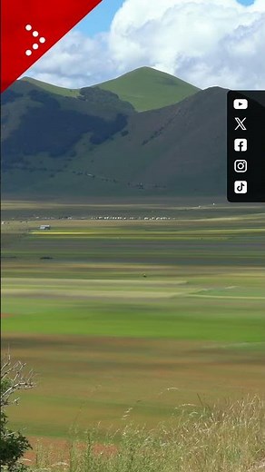 Fioritura di Castelluccio di Norcia, pennellate di colore sulla valle