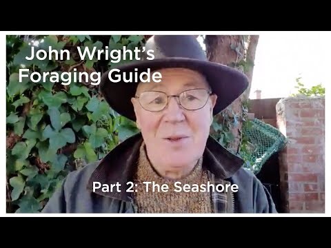 John Wright's Foraging Guide - Part 2