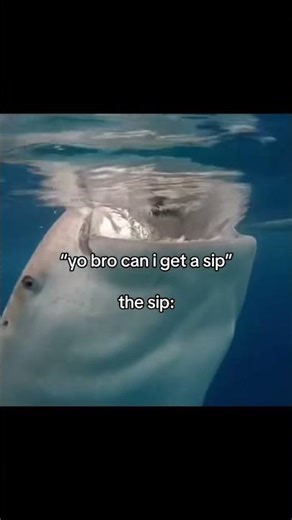 Biggest gulp #viral#funny#relatable