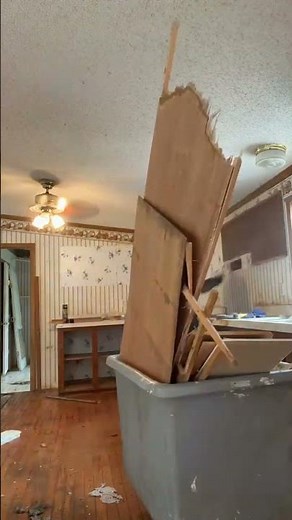 Mobile Home Kitchen Cabinet Demo Removal