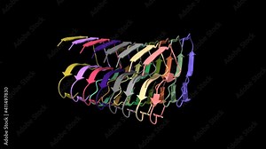 Amyloid fibril structure of islet amyloid polypeptide, animated 3D cartoon and Gaussian surface model, black background