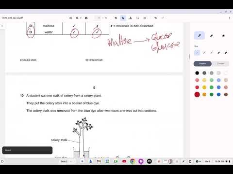 0610 oct/nov 2025 paper 22 completly solved