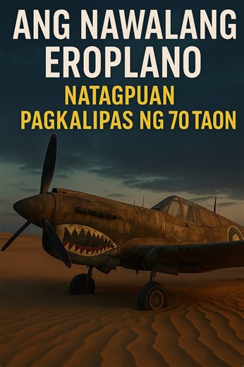 192K views · 1.8K reactions | World war 2 fighter plane na nawala noong 1942 natagpuan sa disyerto! #discovery #kasaysayan #documentary | Jifferson Mendoza | Facebook
