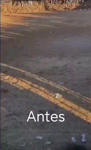 Tú puedes Tigre, ya logró levantarse, a 3 semanas de su agresión, sigue en la veterinaria hospitalizado, por su seguridad, sus agresores han corrido con los gastos veterinarios, Tigre fue arrojado de las escaleras del Lienzo Charro de Heriberto Jara Nayarit México, a servido para crear concientización a no al maltrato animal, qué ahora con las redes sociales, con las cámaras ya nada queda impune y olvidado cómo antes, poco a poco hemos logrado críen conciencia en la zona Sur de Nayarit.😇🐱🐶🐾�