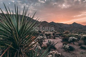 20 Fun Joshua Bible Quiz Questions and Answers