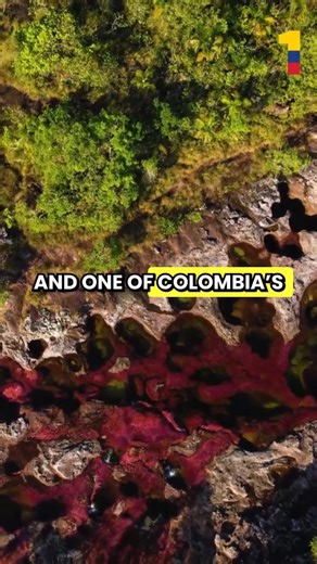🌈 The Rainbow River You’ve NEVER Seen Before | Caño Cristales 🇨🇴✨