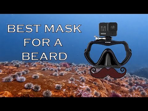 The Best Scuba Mask For A 🧔 Beard or Mustache, Snorkeling Dive Mask