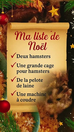 Devinez pourquoi j'ai commandé une machine à coudre 🤣🐹