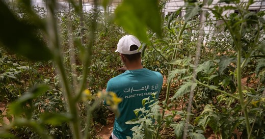 Dubai inmates sow seeds of rehabilitation on prison farm | The National