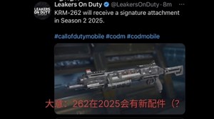 262新配件？262 mg42 vlk等枪或将迎来新传说皮？