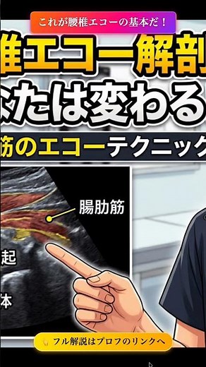 これが腰椎エコーの正しいプローブの当て方だ！