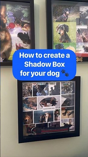 How to Create a Beautiful Memorial Shadow Box for Your DOG ❤️🐾