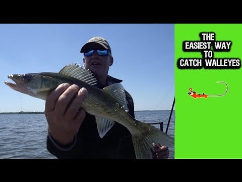 The EASIEST Way to Catch WALLEYES!!!
