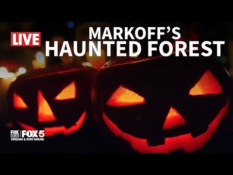 LIVE: Trail of TERROR at Markoff's Haunted Forest | FOX 5 DC