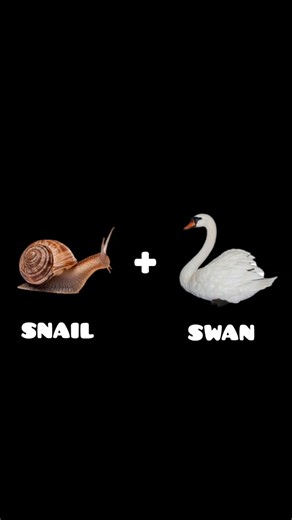 🐌+ 🦢 WHAT'S NEXT ⁉️ #shorts #shortvideo #viral #trending #art #fusion #youtubeshorts