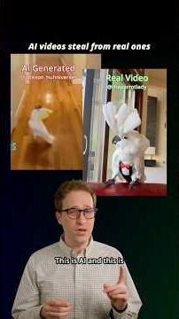 Which cockatoo is AI? #cockatoo #parrot #animalhumor #cute #Heartwarming