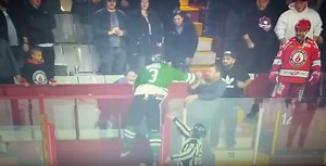 Semi-pro hockey player attempts to jump into stands to fight fan (VIDEO) | Sports