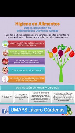 Higiene de Alimentos: Claves para la Seguridad Alimentaria